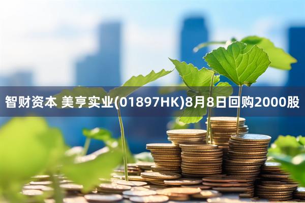 智财资本 美亨实业(01897HK)8月8日回购2000股