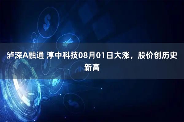 泸深A融通 淳中科技08月01日大涨，股价创历史新高