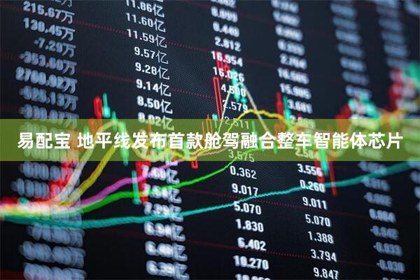 易配宝 地平线发布首款舱驾融合整车智能体芯片